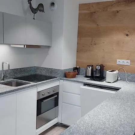 Superbe 3 Pièces - Jardin Privé - Parking - Animaux Admis - Fr-1-517-25 Chamonix Mont Blanc