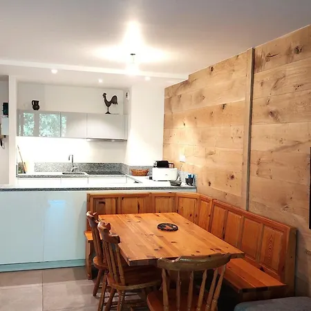 Duplex Renove 3 Pieces Avec Jardin, Parking Et Animaux Admis A - Fr-1-517-25 * Chamonix