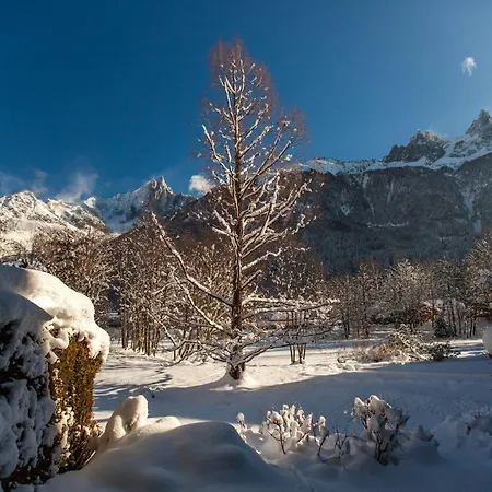 Chamonix-mont-blanc, 3 Pièces, 8 Personnes - Fr-1-517-25 *