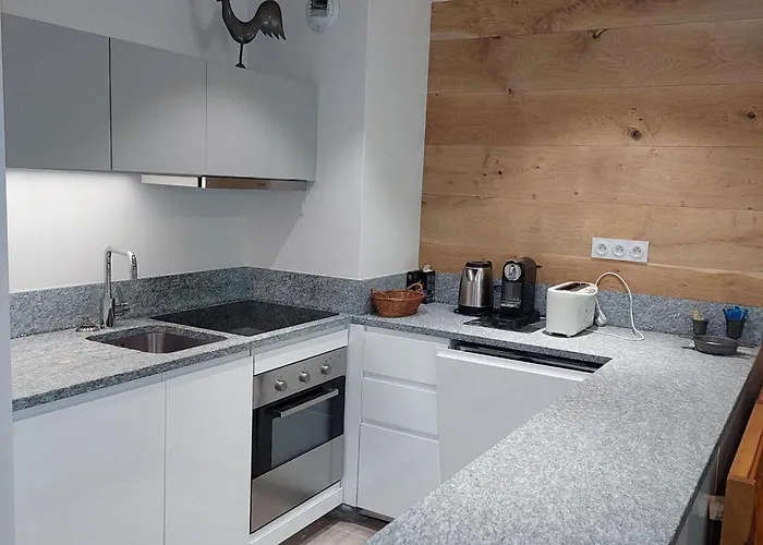 Superbe 3 Pieces - Jardin Prive - Parking - Animaux Admis - Fr-1-517-25 Chamonix